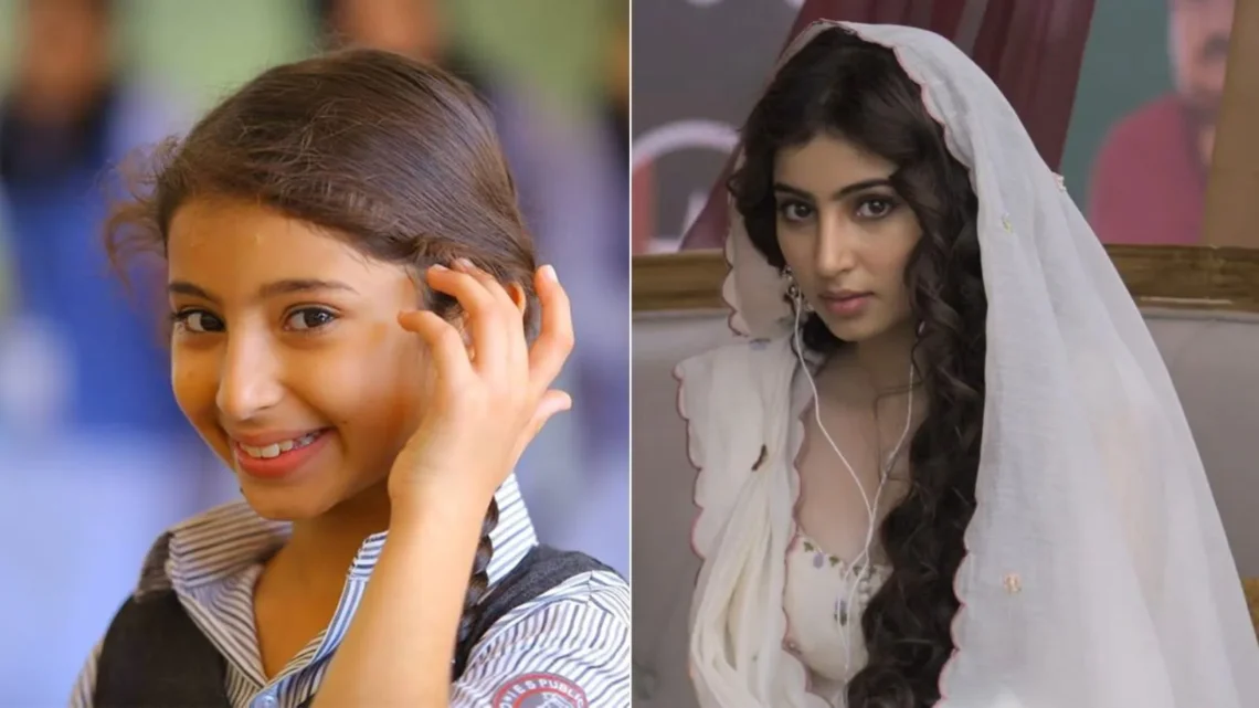 Sara Arjun Net Worth